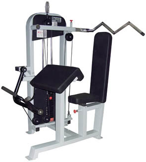 Bicep Curl - Tricep